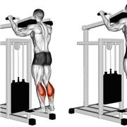 Asesoría en entrenamiento y salud